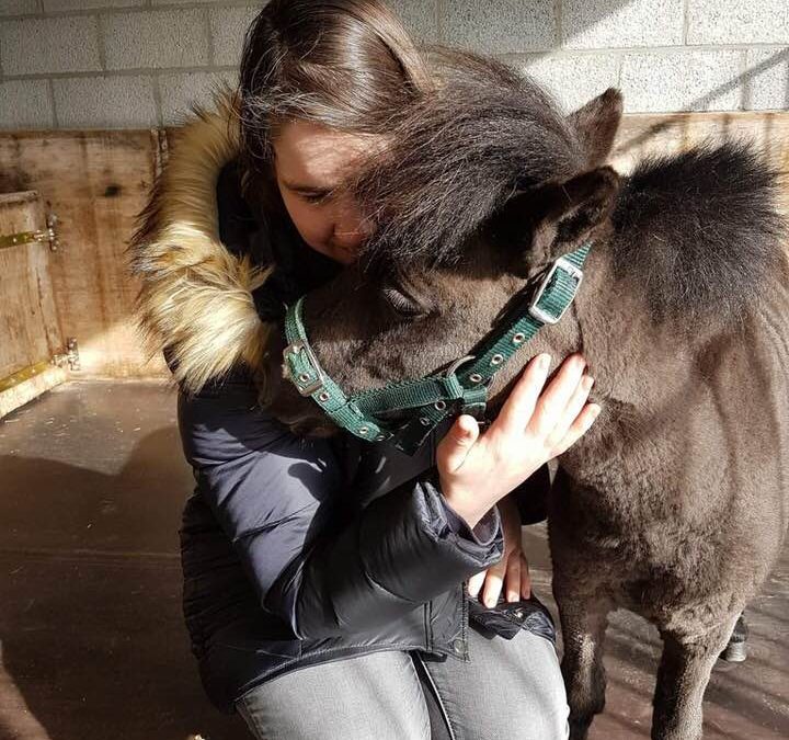 Het eerste blindengeleidepaardje van Europa is voor Brugse Monique